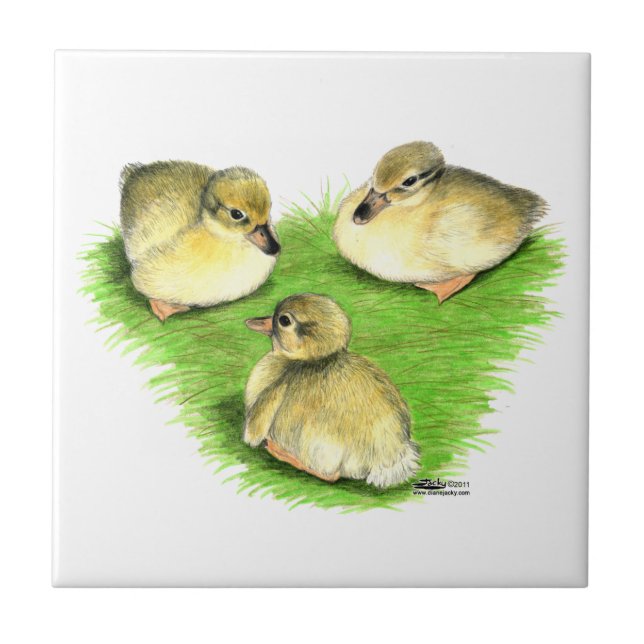 Snowy Mallard Ducklings Tile (Front)