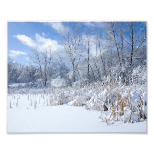 Snowy Marthaler Pond Trees and Reeds Photo Print