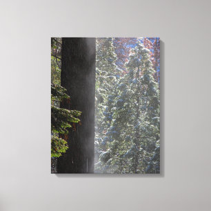Snowy Mist in the Forest Canvas Print