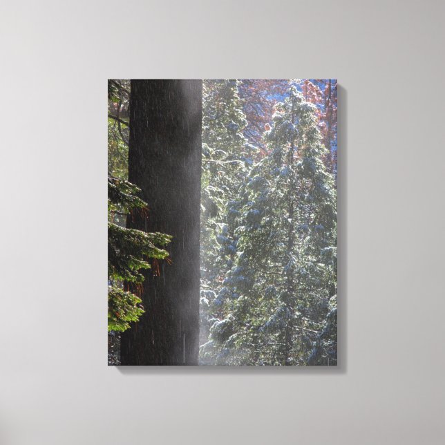 Snowy Mist in the Forest Canvas Print (Front)