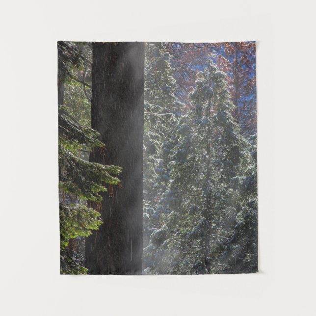 Snowy Mist in the Forest Tapestry (Front)