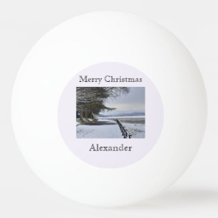 Snowy Morning  Ping Pong Ball