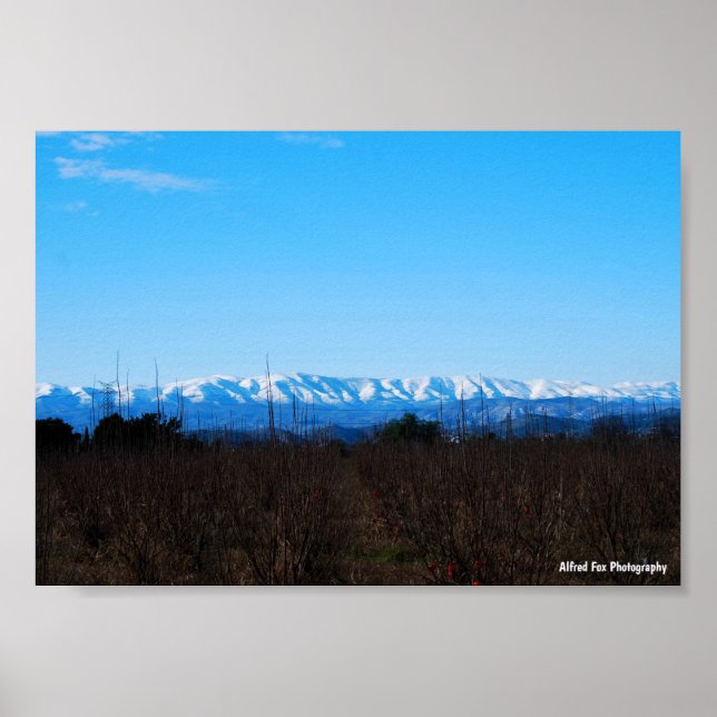 Snowy Mountains Behind Persimmon Field Poster (Front)