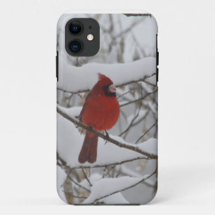 Snowy Nose Cardinal Iphone 5 case-mate iPhone 11 Case