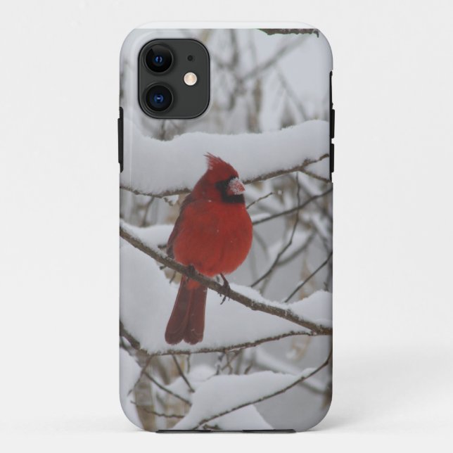 Snowy Nose Cardinal Iphone 5 case-mate Case-Mate iPhone Case (Back)