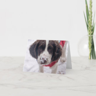 Snowy Nose Puppy Holiday Card