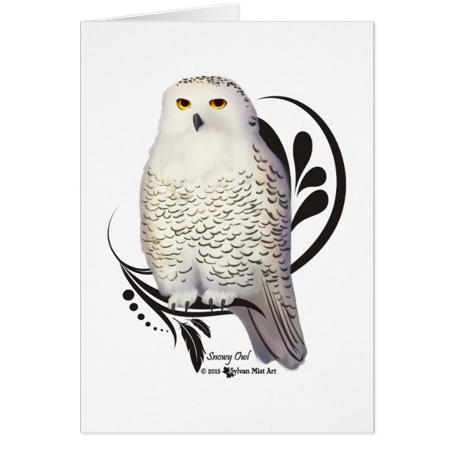 Snowy Owl (Front)