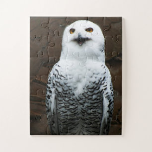 Snowy Owl 11x14 30pc jpcna Jigsaw Puzzle