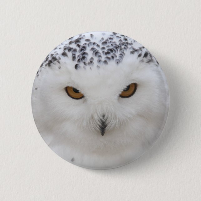 Snowy Owl 2 Inch Round Button (Front)