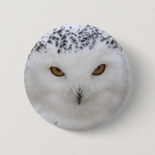 Snowy Owl 2 Inch Round Button