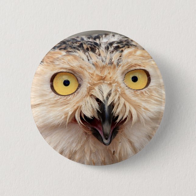 Snowy Owl 2 Inch Round Button (Front)