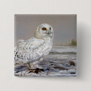 Snowy Owl 2 Inch Square Button