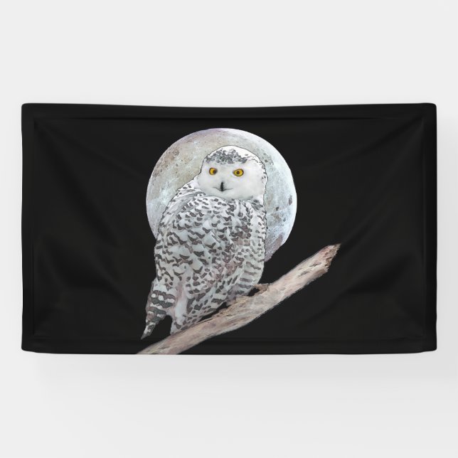Snowy Owl and Moon Painting - Original Bird Art Banner (Horizontal)