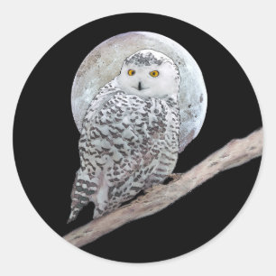 Snowy Owl and Moon Painting - Original Bird Art Classic Round Sticker