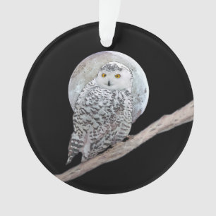 Snowy Owl and Moon Painting - Original Bird Art Ornament