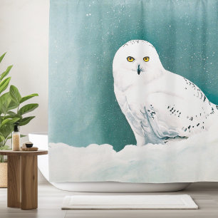 Snowy Owl Arctic Winter Sky Snow Teal