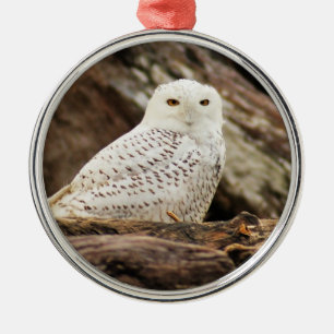 Snowy Owl at Christmas Metal Ornament