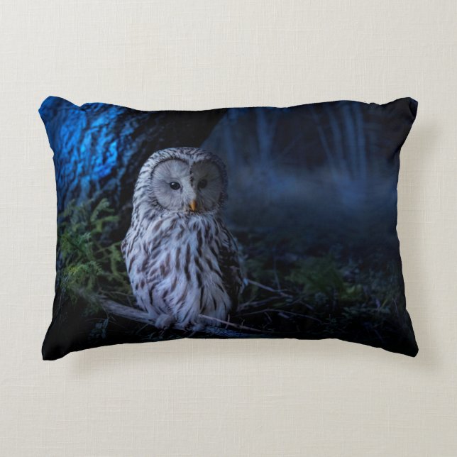 Snowy Owl at Night Accent Pillow (Front)