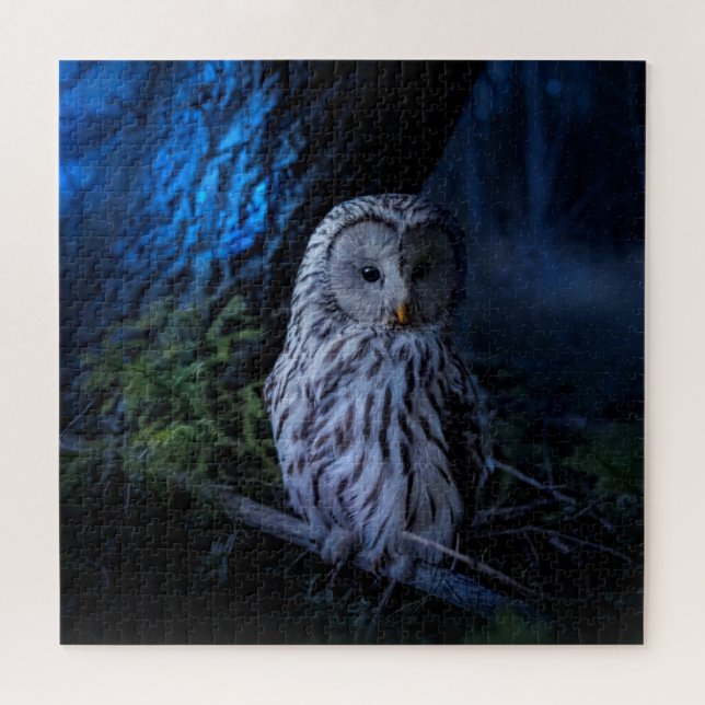 Snowy Owl at Night  Jigsaw Puzzle (Horizontal)
