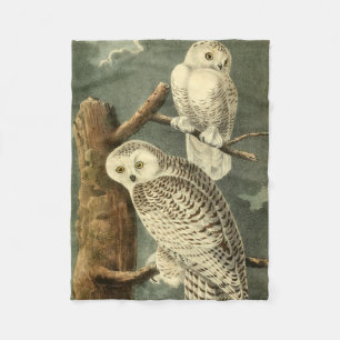 Snowy Owl Audubon Bird Artwork Fleece Blanket