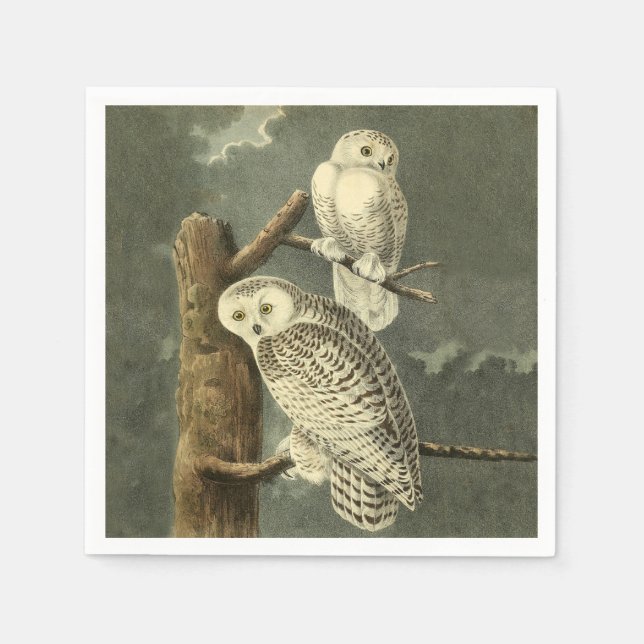 Snowy Owl Audubon Bird Artwork Napkin (Front)