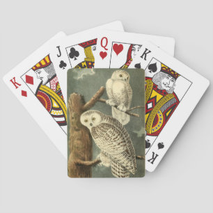 Snowy Owl Audubon Bird Artwork Playing Cards