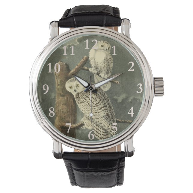 Snowy Owl Audubon Bird Artwork Watch (Front)