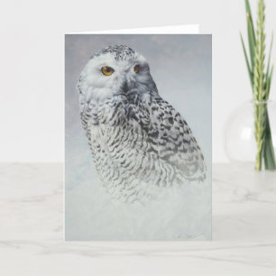 Snowy Owl Blank Card by Andrew Denman