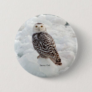 Snowy Owl button