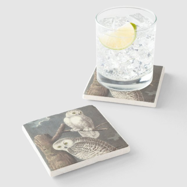 Snowy Owl by Audubon Stone Coaster (Side)