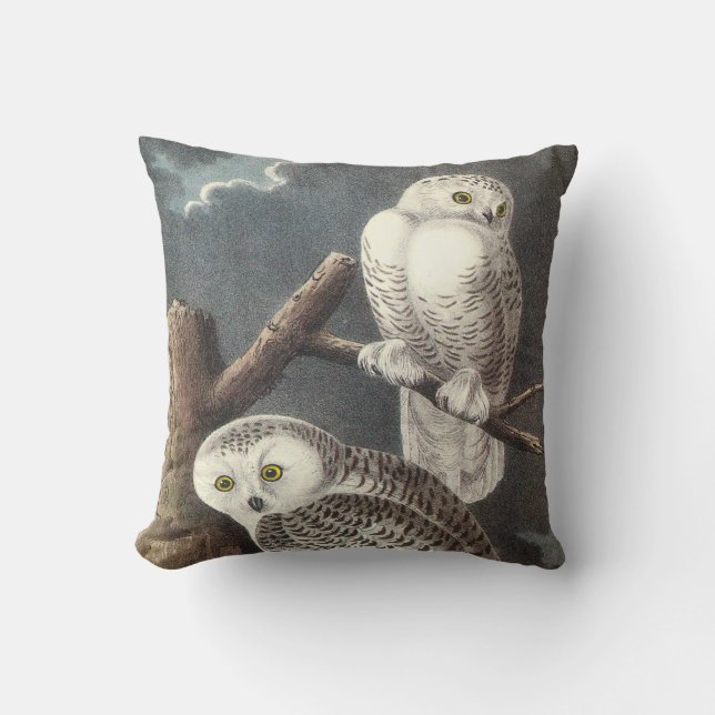 Snowy Owl by Audubon Throw Pillow (Front)