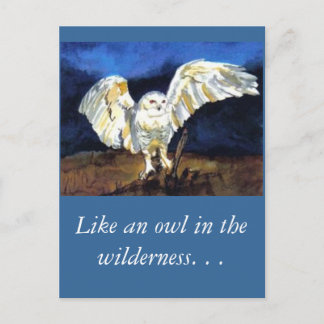 Snowy Owl by Paula Atwell Postcard