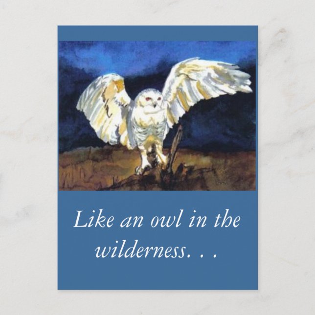 Snowy Owl by Paula Atwell Postcard (Front)