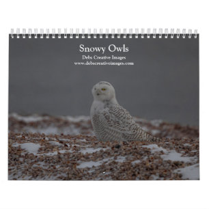 Snowy Owl Calendar 2025