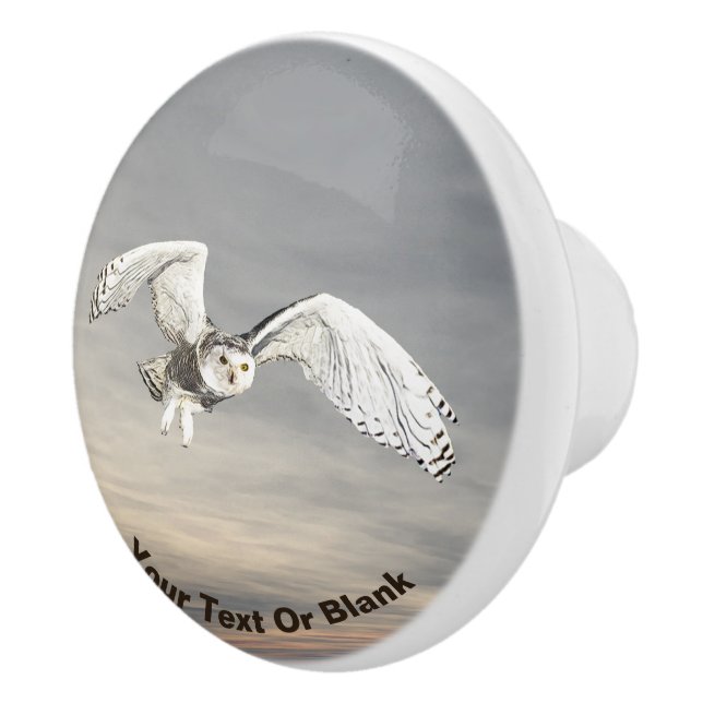 Snowy Owl Ceramic Knob (Right)
