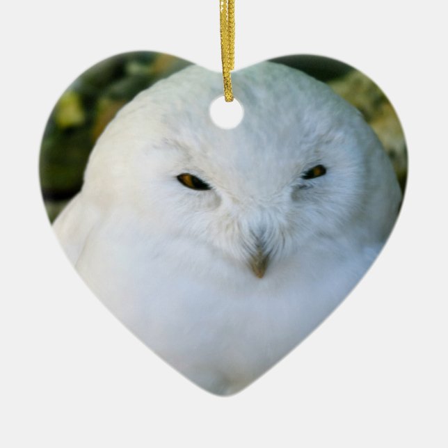 Snowy Owl Ceramic Ornament (Front)