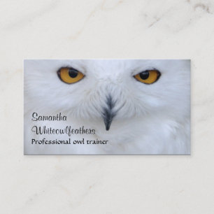 Snowy owl close up photo business card