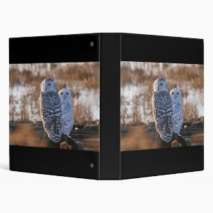 Snowy Owl Couple Binder