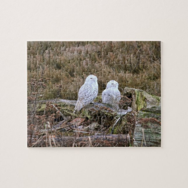 Snowy Owl Couple Jigsaw Puzzle (Horizontal)