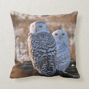 Snowy Owl Couple Throw Pillow