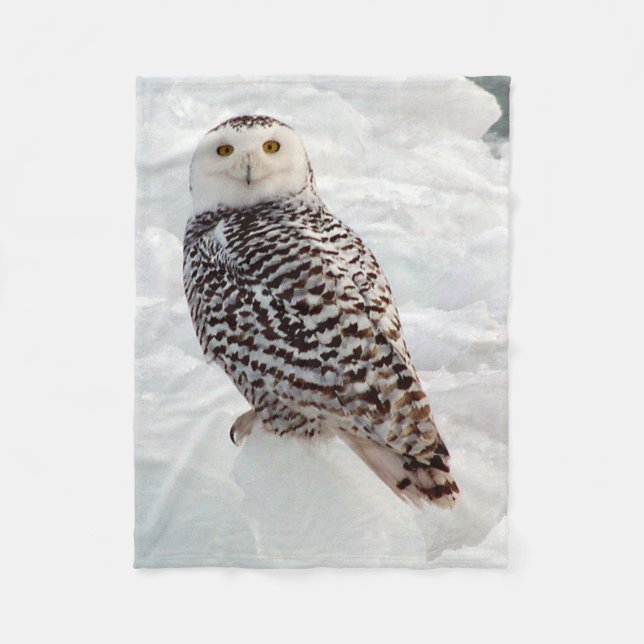 Snowy Owl couverture (Devant)