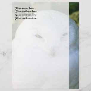 Snowy Owl Custom Letterhead