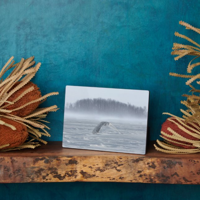Snowy Owl Flying In Winter Plaque (Side)