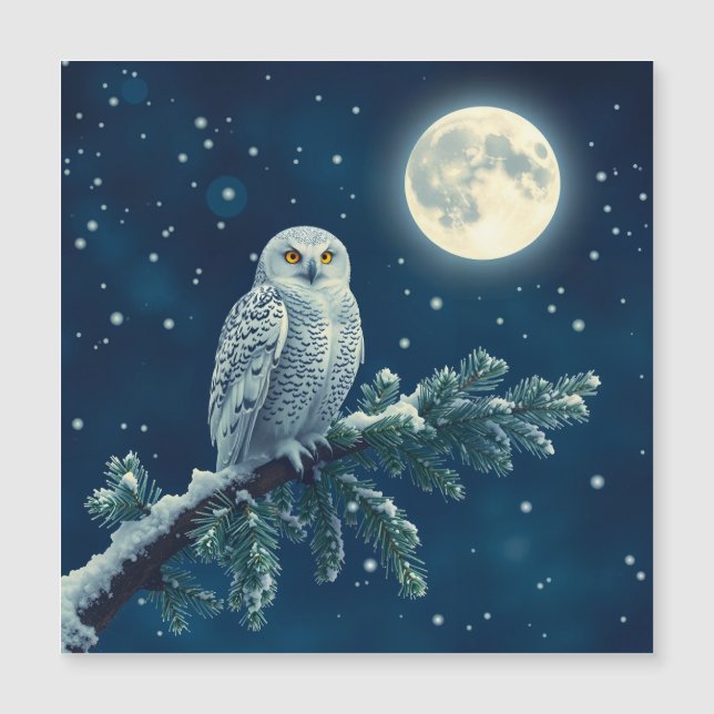 Snowy Owl fun Christmas card (Front)