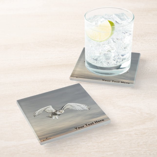 Snowy Owl Glass Coaster (Angled)
