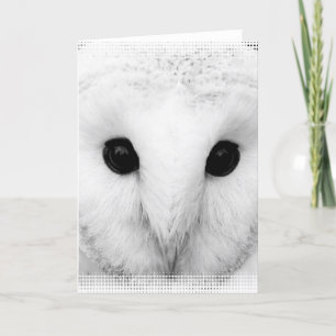 Snowy Owl Greeting Card