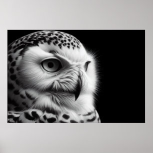 Snowy Owl in Black & White Poster