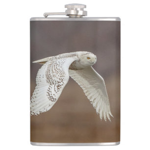 Snowy owl in flight hip flask