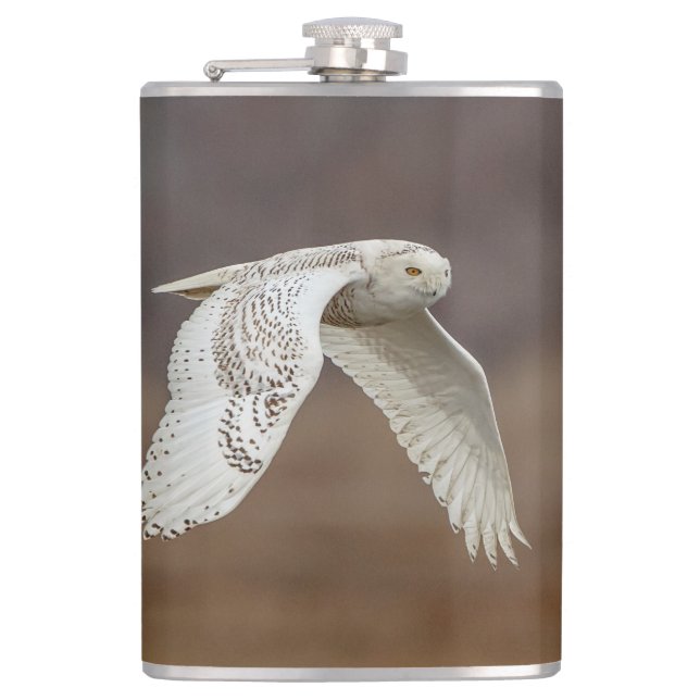 Snowy owl in flight hip flask (Front)