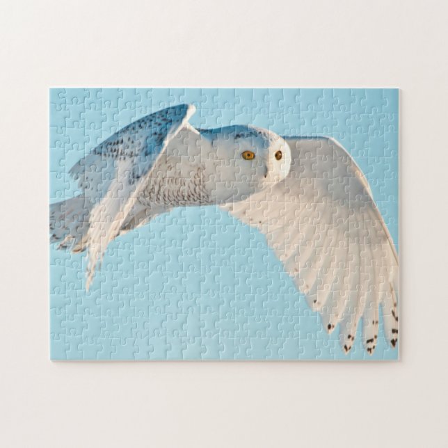 Snowy Owl in flight Jigsaw Puzzle (Horizontal)